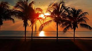 For Far Too Long - Wanderer's Trove, Relaxing Guitar Music, Relax & Peaceful, Calming Music