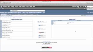 Rapattoni Custom Exports