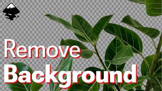 How to Remove White Background in Inkscape (FAST & EASY) | Trace Bitmap