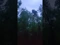 National Guard Aids In Rescue