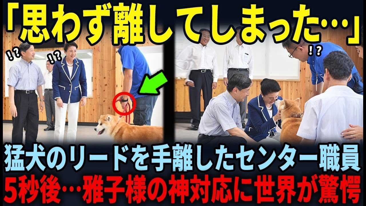【TV未公開の雅子様の神対応】秋田県動物保護センタ…