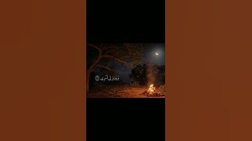 القارئ ياسر الشرقاوي حالات واتس قران كريم #القاريء