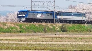 EF210-129+ムドEF65-2088 5085レ 2014.04.09 琵琶湖線