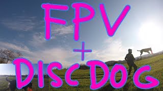 Fpv Freestyle & Disc Dog