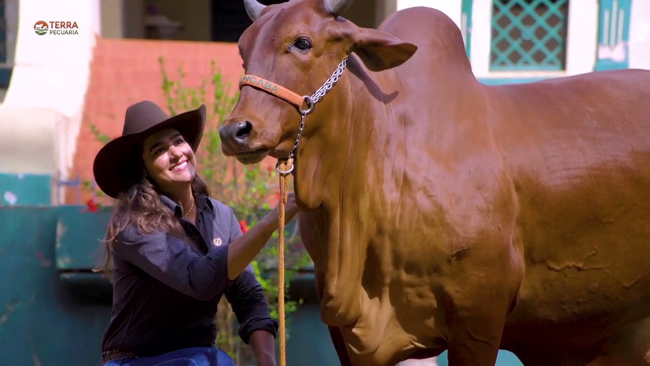 20 anos de seleção Sindi PORANGABA