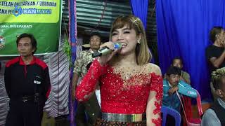 Kangen ning nickerie (Vivi Volleta) KMB MUSIC live Kesongo Gempolan Kerjo