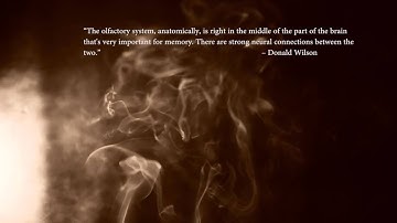 Architecture as an Olfactory Experience A Phenomenological Approach -Evripidis N AIM704