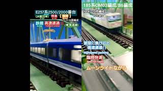 【N鉄道コラボ】185系OM03編成とB6編成のムーンライトながら　新型に負けじと高速通過!! #nゲージ #jr #鉄道 #電車 #模型鉄 #train #185系 #国鉄