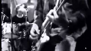 Video voorbeeld van "Radio Birdman - Aloha Steve & Danno  1978"