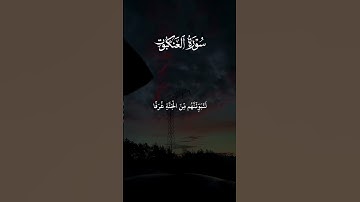 سورة العنكبوت #القارئ #الشيخ_ياسر_الدوسري #القرآن_الكريم #ياسر_الدوسري #القرآن #اكسبلور #غزة #لايك