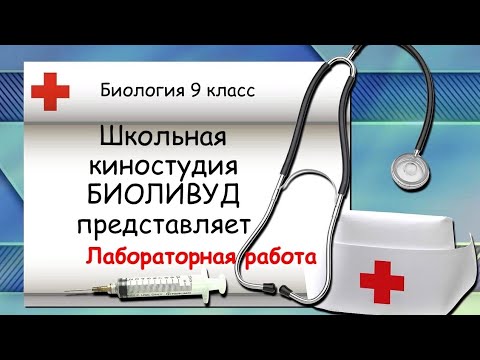 Лабораторная работа "Влияние статической и динамической нагрузки на утомление мышц"