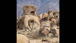On my way #subscribe #shortsviral #video #adventure #lifeisbutadream #jeep#desert #eating #rock