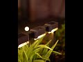 Video Image