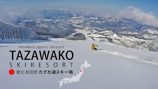 【ロングバージョン】秋田県 たざわ湖スキー場 / 大きな山のウネリを滑る  【Long.ver 】 Lake Tazawa ski resort