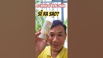 Tơ Nhện Làm Mồi Vuốt. chai tơ sau hơn 1 năm sẽ ra sao? #fishing #caucathugian #cuoccauca
