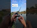 ONE CAST ‼️ #fishing #mancing #snakehead ##short #shorts #shortsvideo #shortvideo #fyp #fypシ