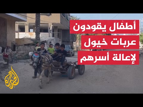 أطفال غزة يقودون عربات خيول وحمير لإعالة أسرهم