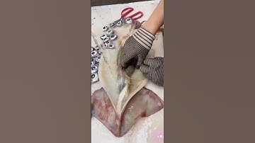 How to quickly clean a large squid  #seafood #squid
