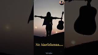 Manasuni Patti Song S  Manasuni Patti Song Whatsapp Status  Srijas