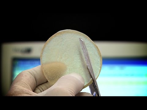 Vídeo: Engenharia De Biomateriais E Tecidos Para O Tratamento De Cicatrizes No Tratamento De Feridas