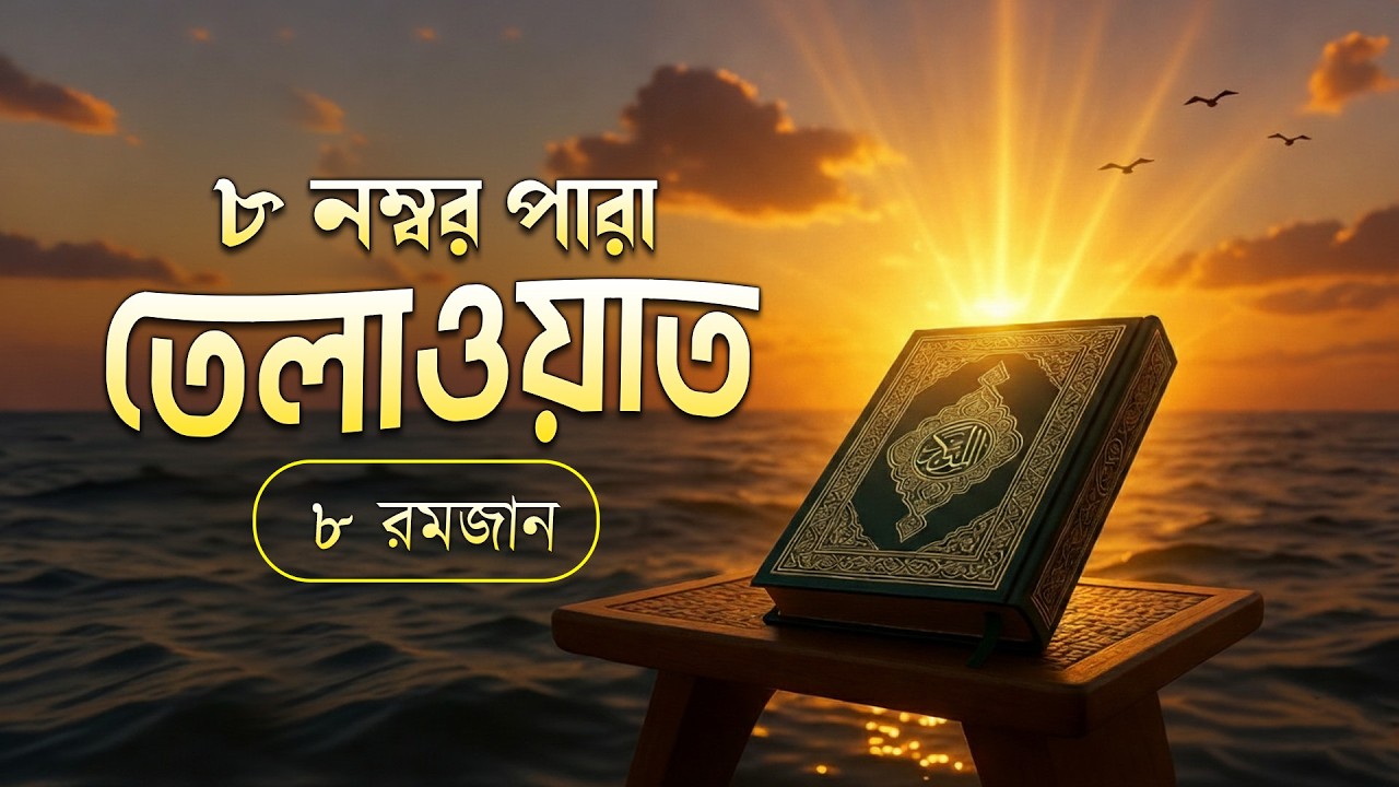 রমজানের অষ্টম দিনের কুরআন তিলাওয়াত শুনুন | Recitation of Ramadan by Alaa Aqel - Juz 08