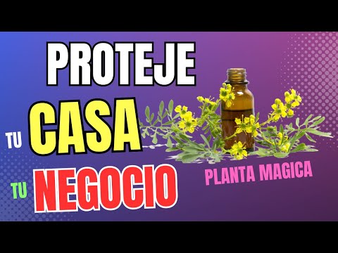Planta magica para