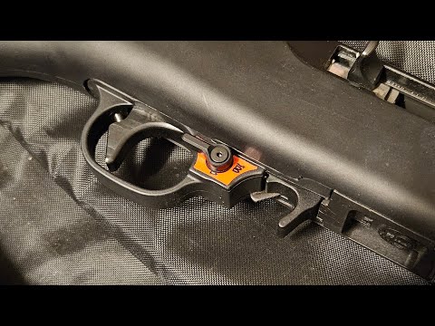 Ruger 10/22 Franklin armory binary trigger