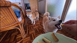 2026年2月13日(金) おイモ好きすぎるママに引き気味な末っ子ちゃん