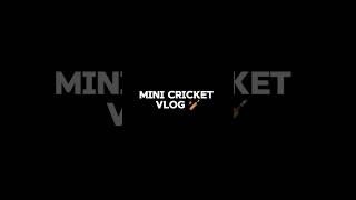 Mini cricket vlog 🏏✅#viral #cricket #vlog #telugushorts #shorts #trendingshorts #comedy #funny #like