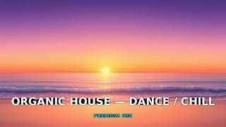 Nhyx - Echoes of Tranquility