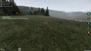 Arma bug