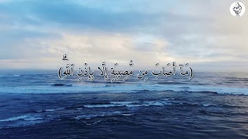 تلاوة مؤثرة للقارئ رعد الكردي (مَاۤ أَصَابَ مِن مُّصِیبَةٍ إِلَّا بِإِذۡنِ ٱللَّهِۗ)[سورة التغابن]💙