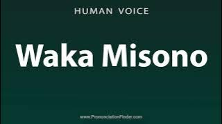 How To Pronounce Waka Misono