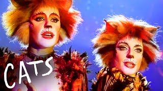 Most Enchanting Songs From Cats by The Shows Must Go On! 17,722 views 2 months ago 29 minutes