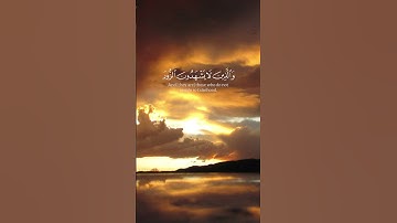 اكتب شيء تؤجر عليه 💛 | و كان الله غفورا رحيما | القارئ ابراهيم ادريس محاكاة الشيخ محمد اللحيدان