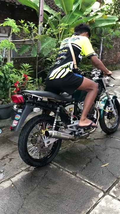 Herex || tiger lama ancaman baru, review gak nih dulur?