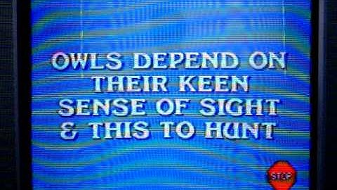 Sega Genesis Jeopardy! Run Game 11 Part 3