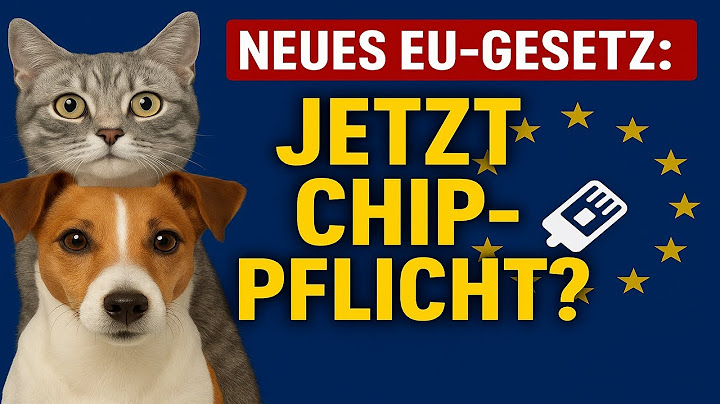 New EU law 2025: Cat and dog owners must act?!