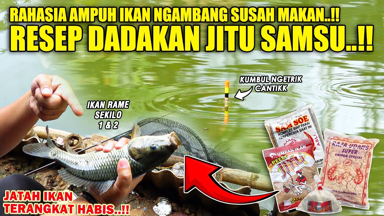 RESEP TERJITU UMPAN DADAKAN PELET JITU SAMSU !! SOLUSI AMPUH ATASI IKAN NGAMBANG SUSAH MAKAN ❗❗