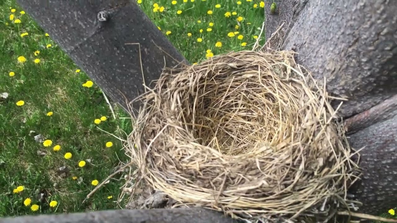 Spring Garden Tour 2023