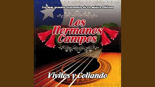 Video thumbnail of "Los Hermanos Campos - Pura Cueca"