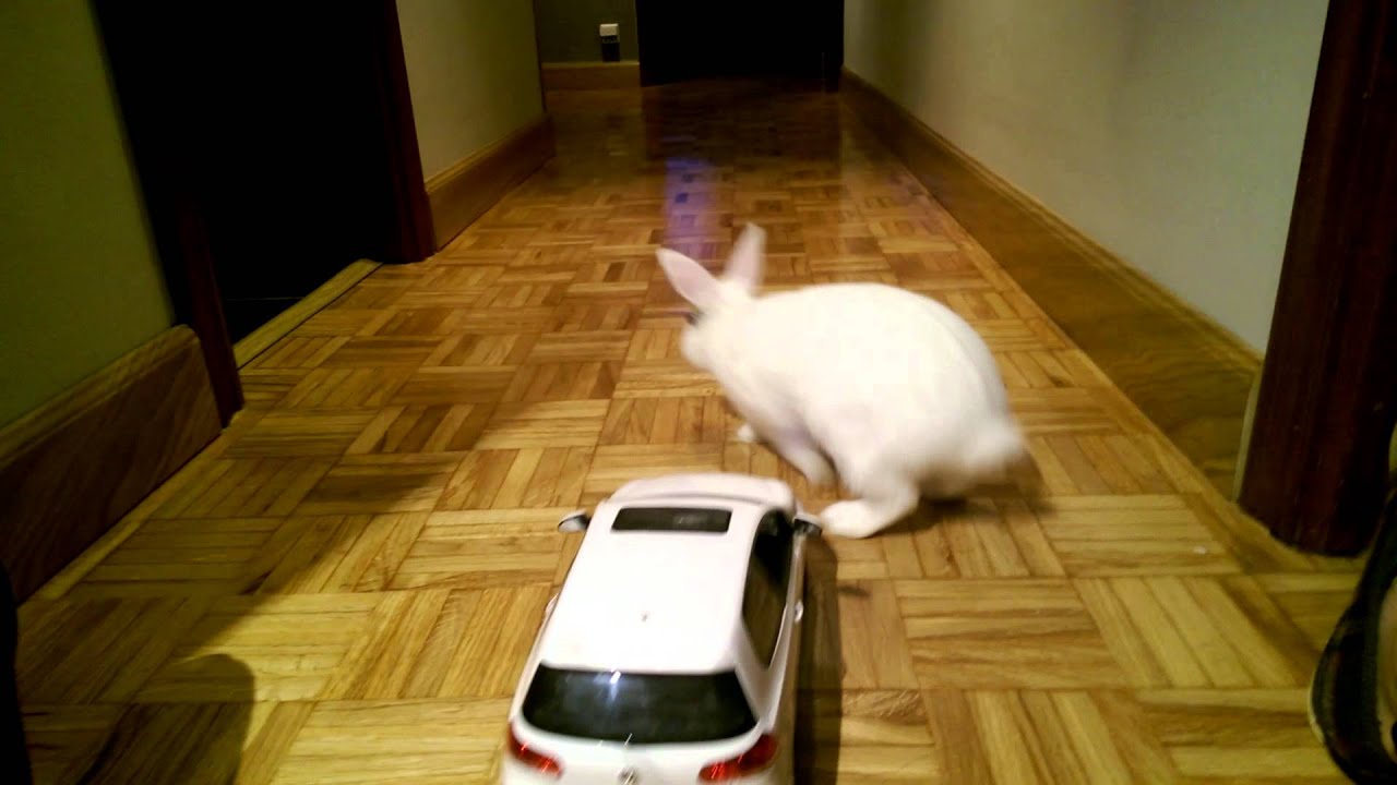 Drag Race, Golf GTI vs Rabbit Stage 2+ - YouTube