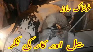 Car Hit cow on Road | Cow car Road Accident live | Rawalpindi | Pakistan