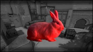 Red Rabbit 🐇