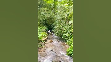 Vượt Suối Vào Rừng Câu Cá  Crossing Streams into the Deep Forest for Fishing Thrilling Adventure