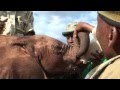 The orphans' project in action -- Kilaguni's journey | Sheldrick Trust