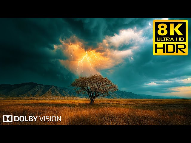 Stunning 8K HDR Visual Showcase – Dolby Vision™ Ultra HD