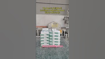 The boss is delighted! Intelligent palletizing robot triples efficiency! #factory #machine