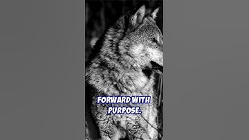 Are you the Wolf or the Sheep? | Motivation