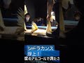 シーラカンス浮上！